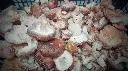 shiitake cortado 8_edited.webp