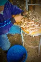 shiitake cortado 7_edited.webp