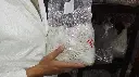 semilla 15.webp
