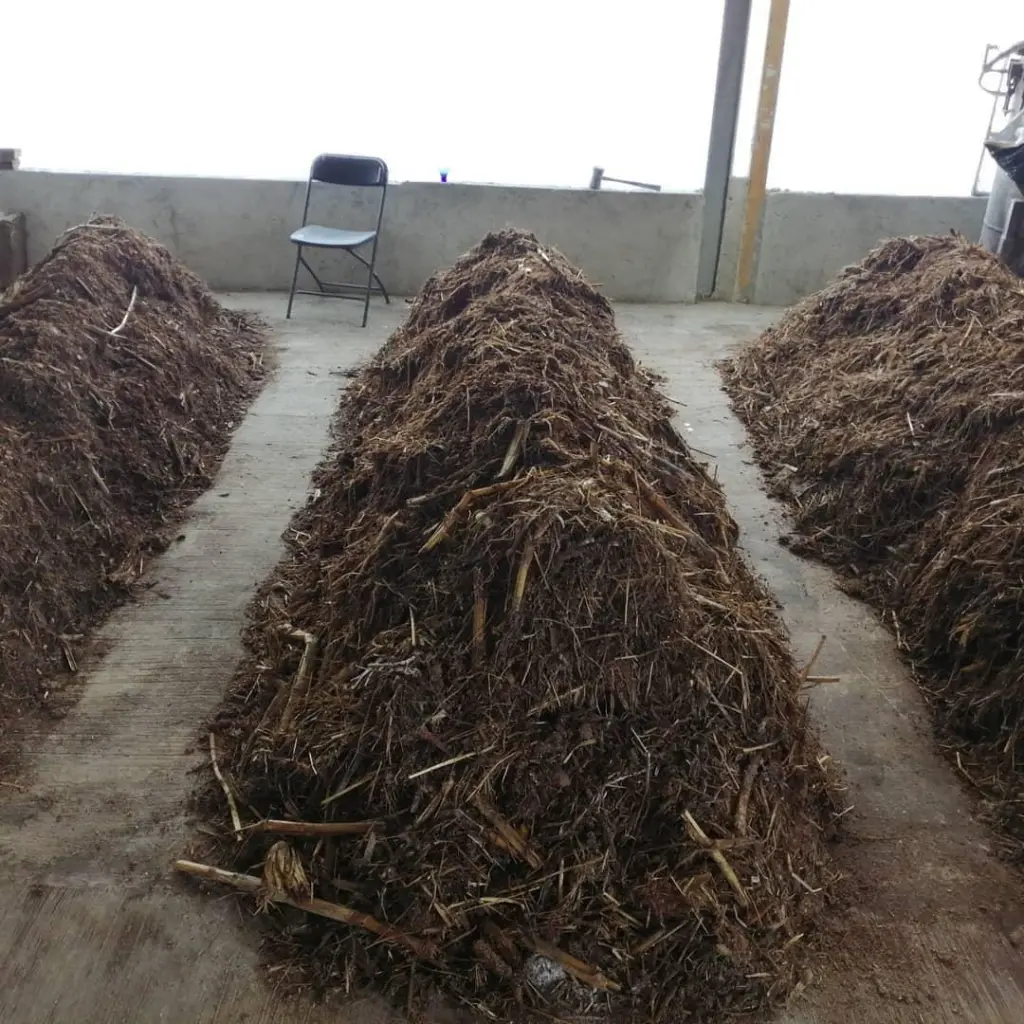 WhatsApp Image 2024-09-24 at 1.37.45 PM (1).webp