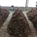 WhatsApp Image 2024-09-24 at 1.37.45 PM (1).webp