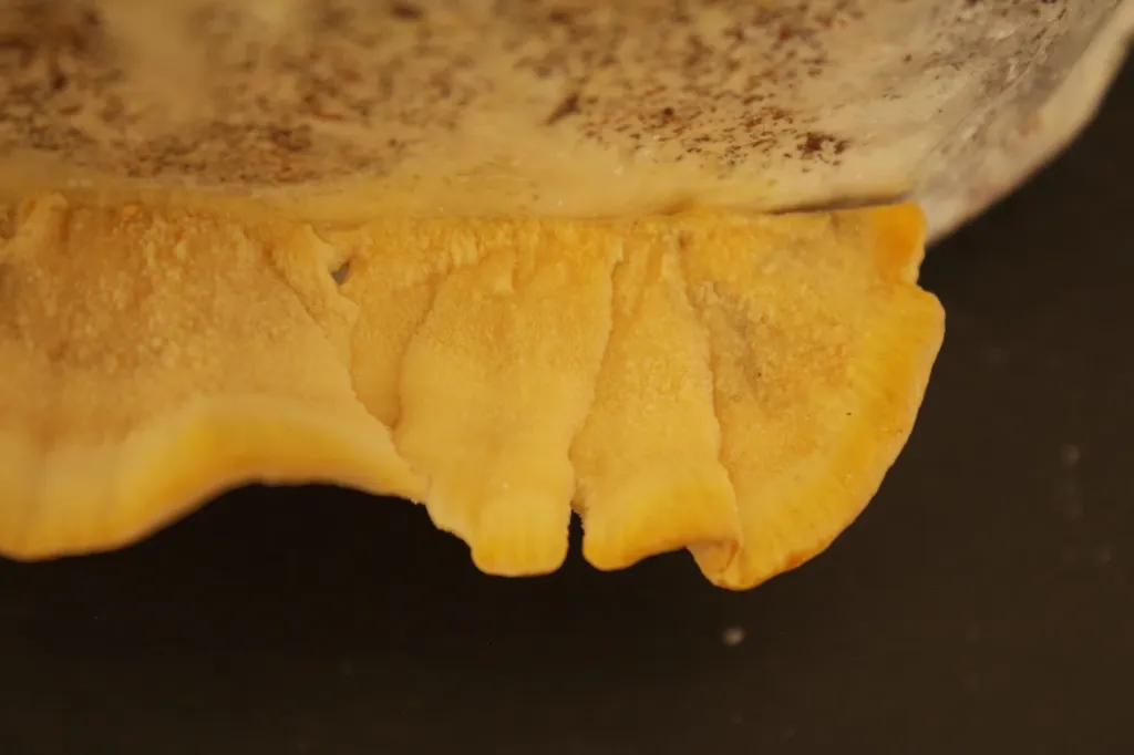 Trametes vista desde arriba.webp