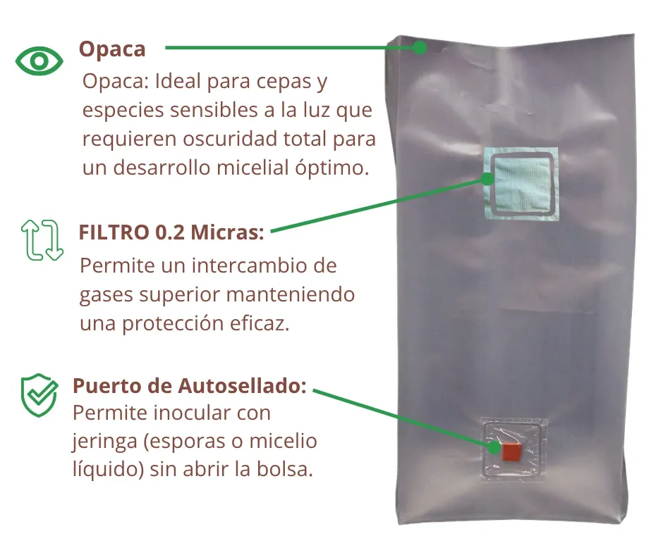 Infografía Puerto de Inyección O F1.webp