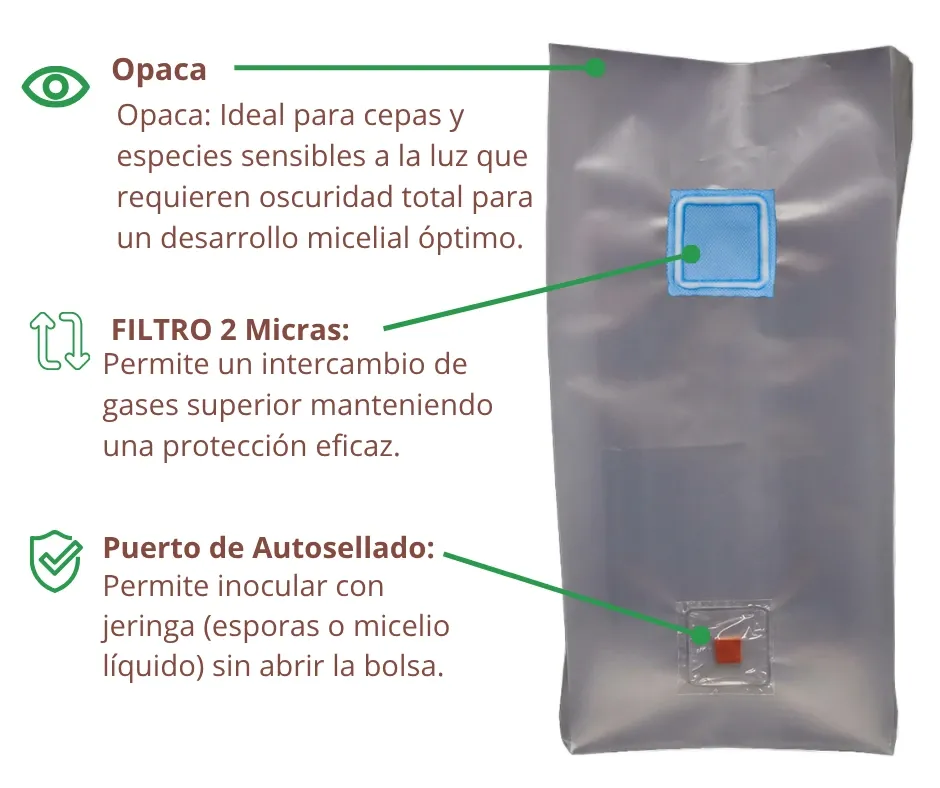 Infografía Puerto de Inyección O F3.webp