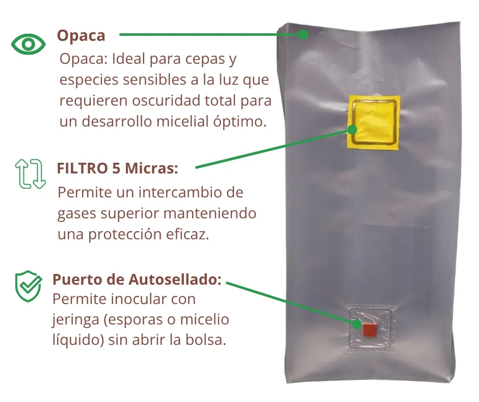 Infografía Puerto de Inyección O F2.webp