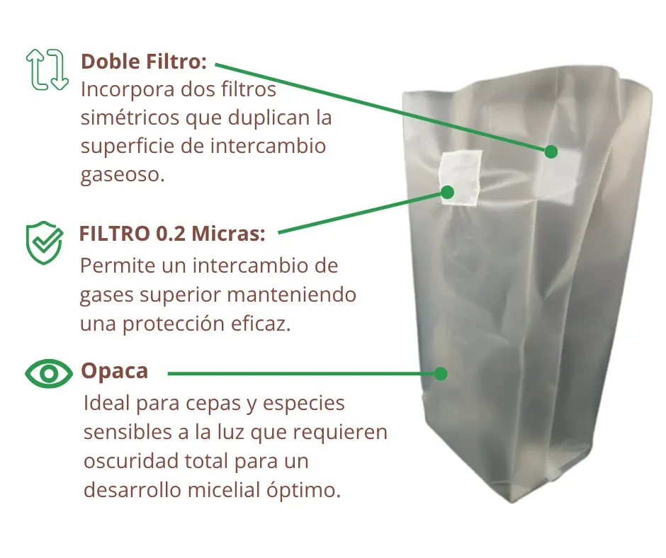 Infografía O Doble F1.webp