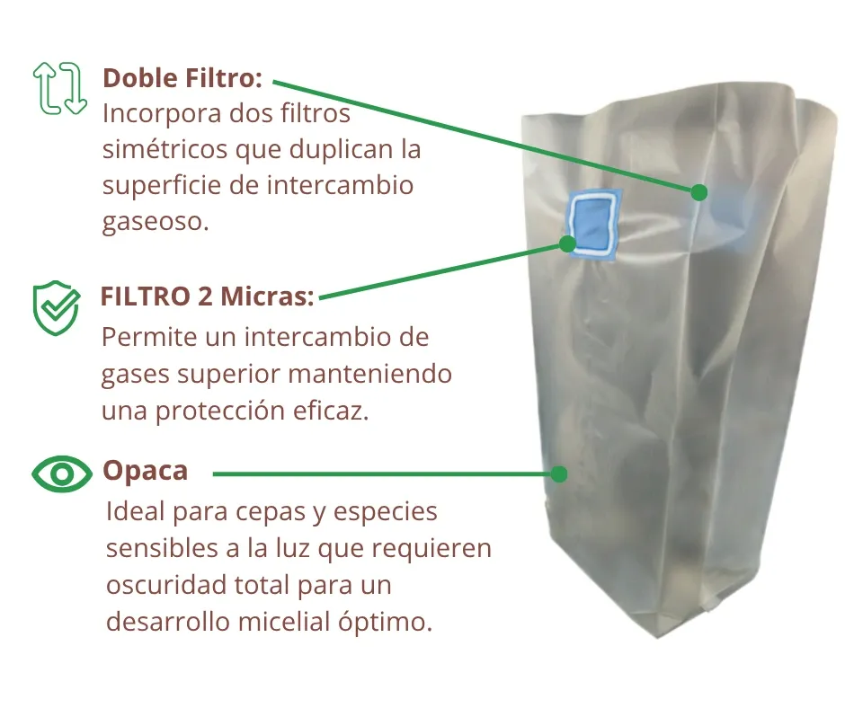 Infografía O Doble F3.webp