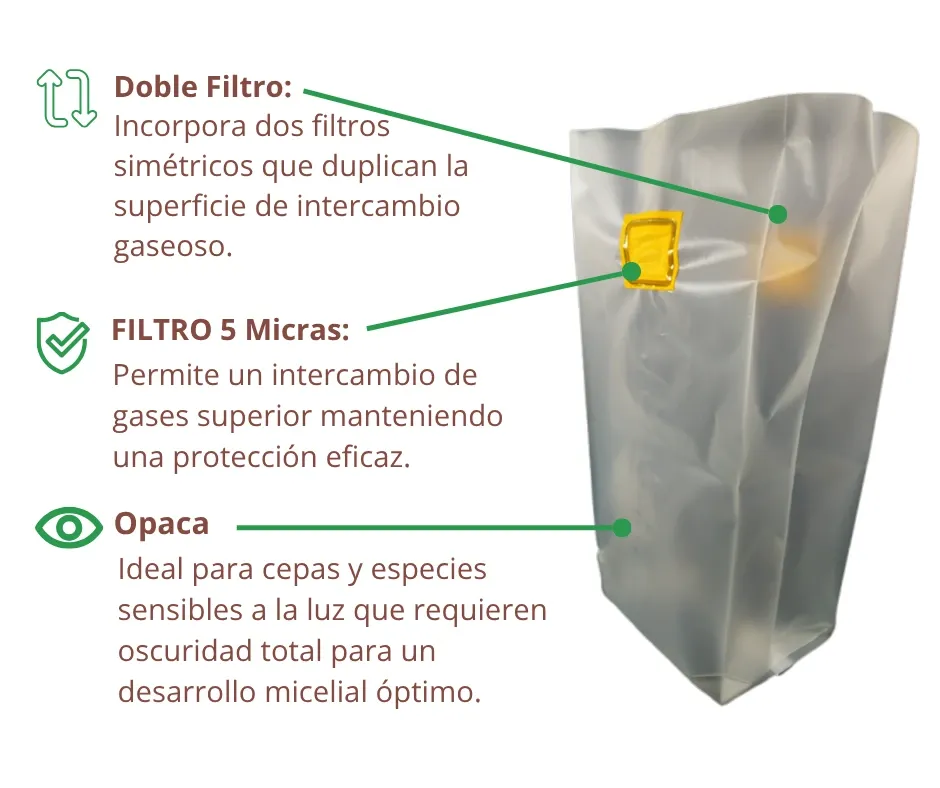 Infografía O Doble F2.webp
