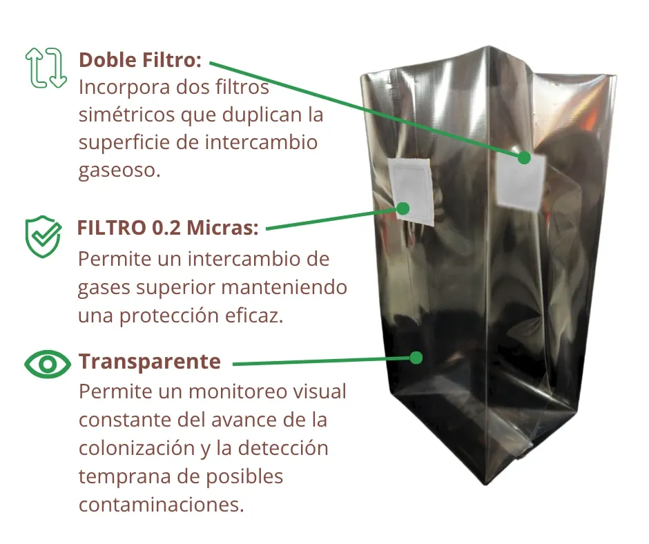 Infografía T Doble F1.webp