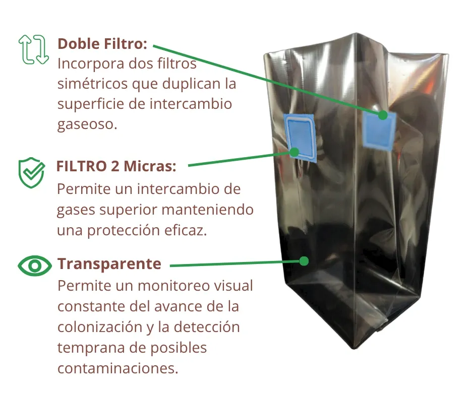 Infografía T Doble F3.webp