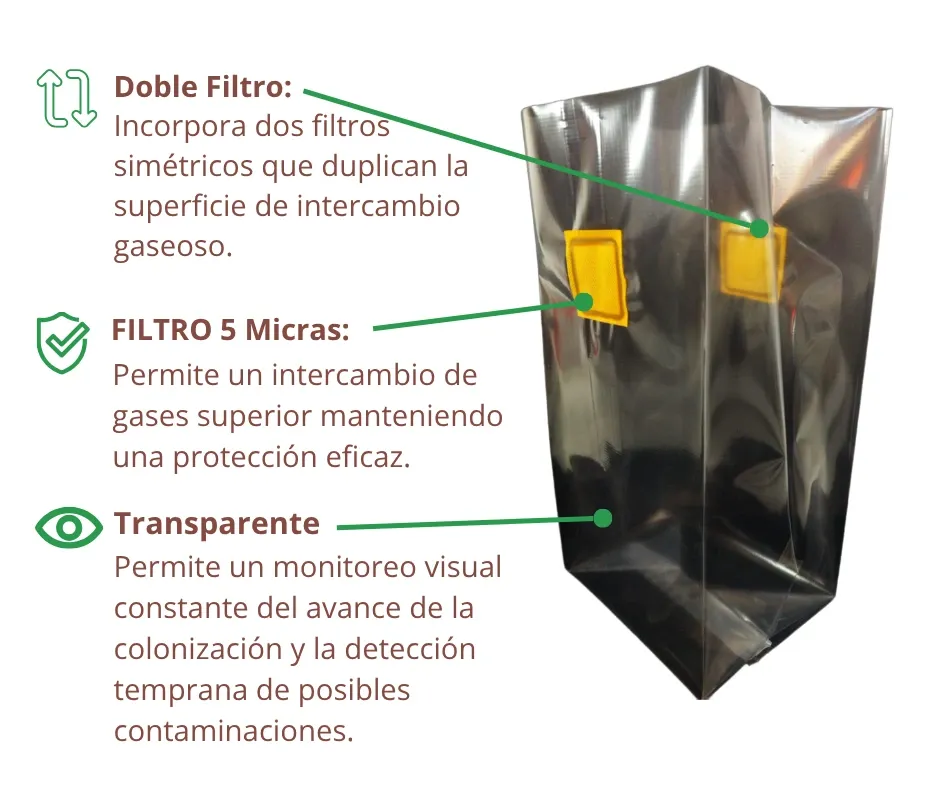 Infografía T Doble F2.webp