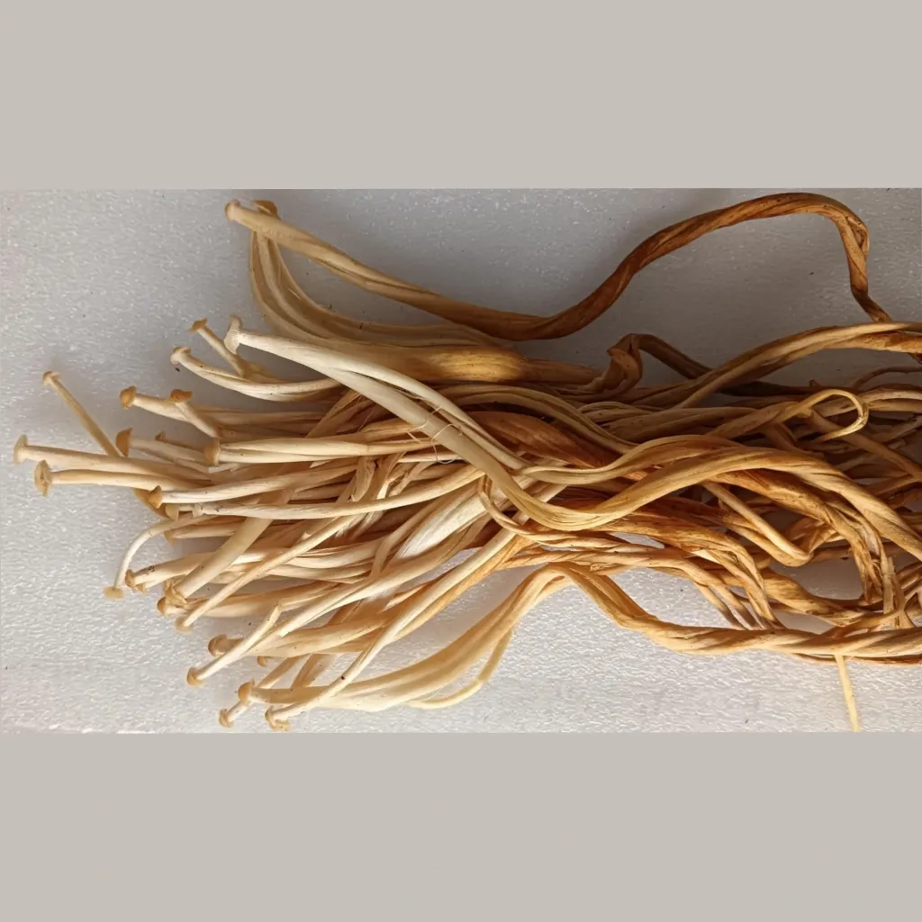 Enoki cosechado.webp