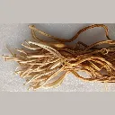 Enoki cosechado.webp