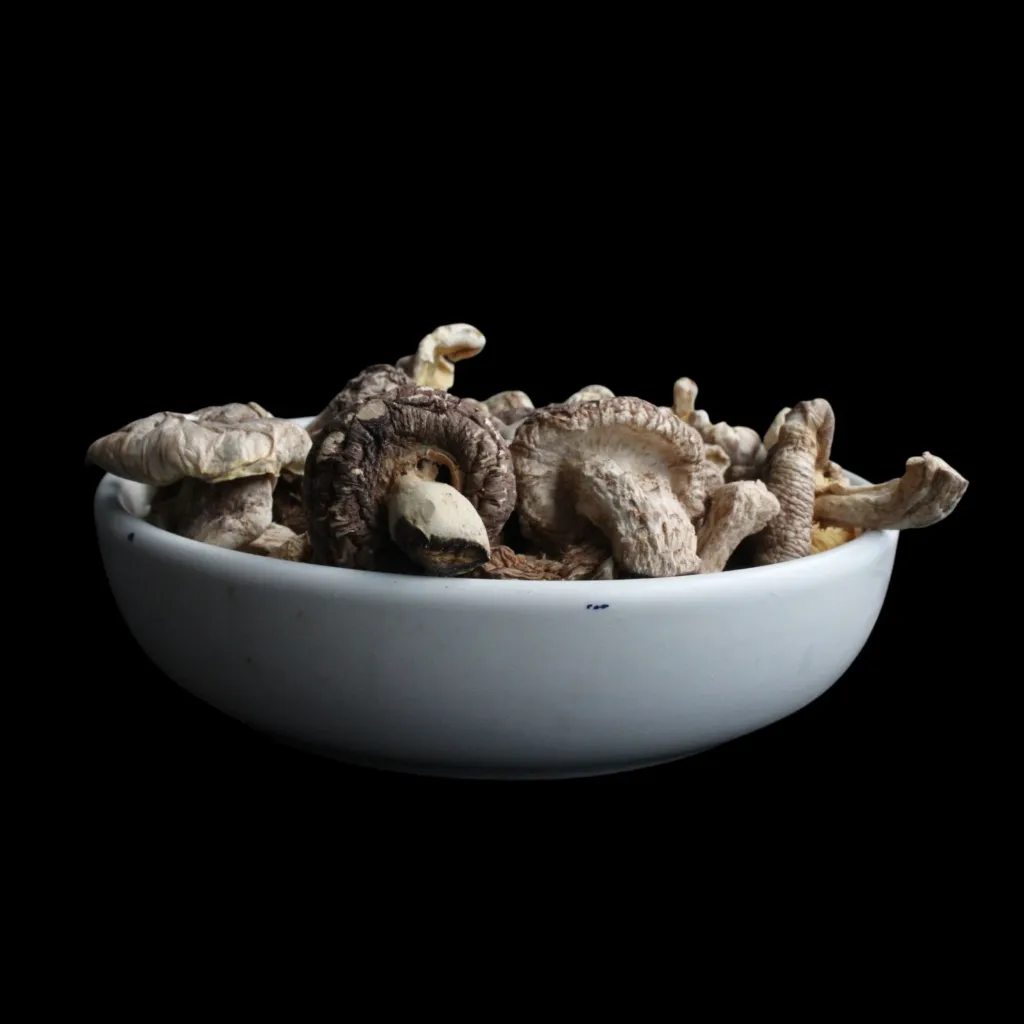 Shiitake Deshidratado en plato.webp