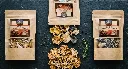 fungiterra_flatlay_png_1779488537626 (1).webp