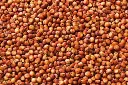 Semilla de sorgo entero limpio e irradiado con luz UV para el cultivo de hongos (1 kg)