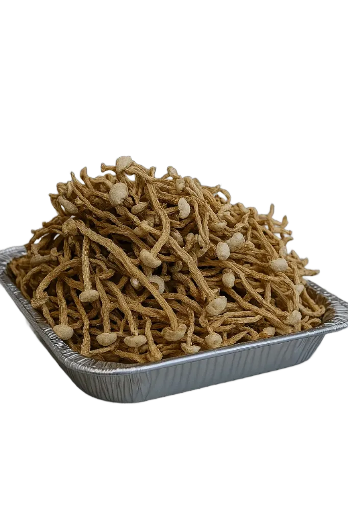 Hongo Enoki Deshidratado (Flammulina velutipes)