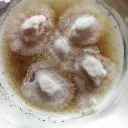 Cepa de champiñon (Agaricus bisporus)