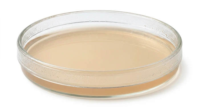 Caja Petri Preparada con Agar Papa Dextrosa (PDA) (Estándar)