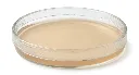 Caja Petri Preparada con Agar Papa Dextrosa (PDA)