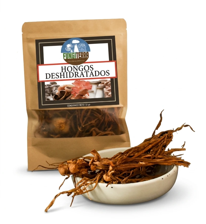 Enoki Deshidratado
