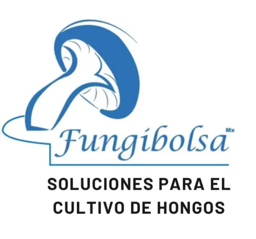 Fungibolsa con doble filtro