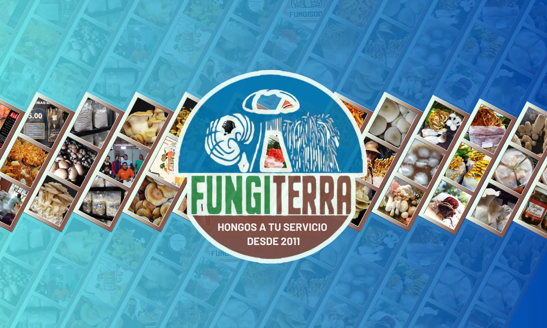 FUNGITERRA